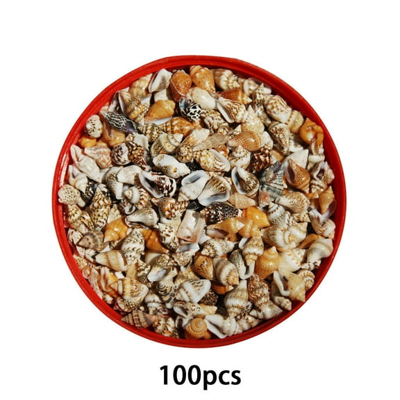 Bestsky Sea Shells Natural Seashell Decor Sea Shell Perfect Aquarium Decoration Shell Craft