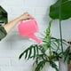 thumbnail image 4 of Regadera Pequeña, Plástico, Mini, con Boquilla Desmontable, Mango Ergonómico, Capacidad de 700ml para Plantas de Interior, Flores de Jardín, 4 of 5