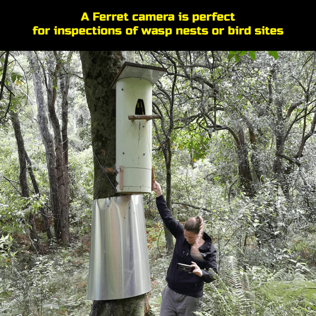 Ferret Plus – Multipurpose Wireless Inspection Camera, borescope, & cable pulling tool - NOW with built-in on-board memory at 1080p and non-contact voltage detector