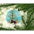 thumbnail image 2 of Carolines Treasures BB4426CO1 Peterbald Cat Merry Christmas Tree Ceramic Ornament, 2 of 2