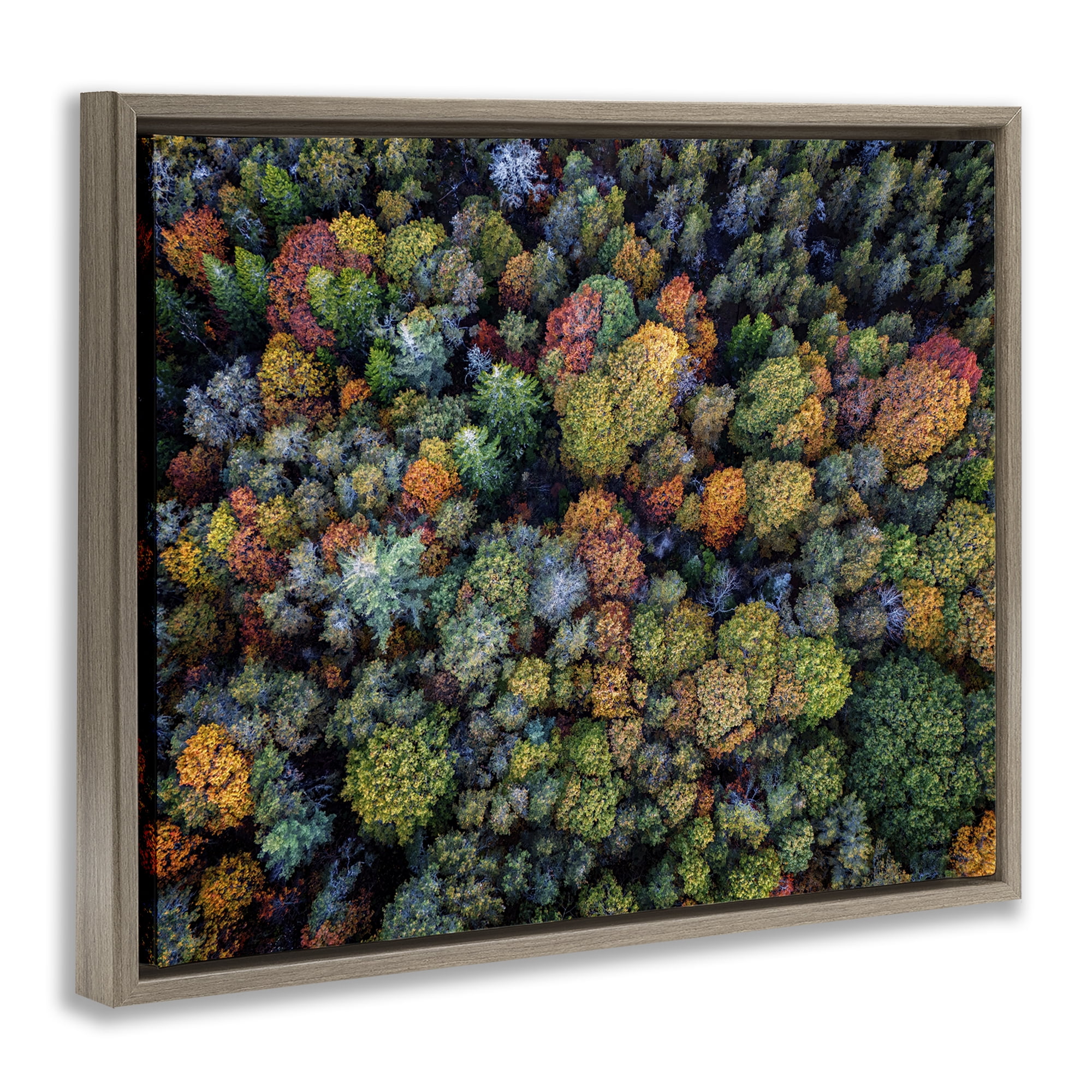 Stupell Industries Aerial View Autumnal Foliage Landscape & Nature Photography Brown Floater Framed Canvas Art Print Wall Art, 21 x 17