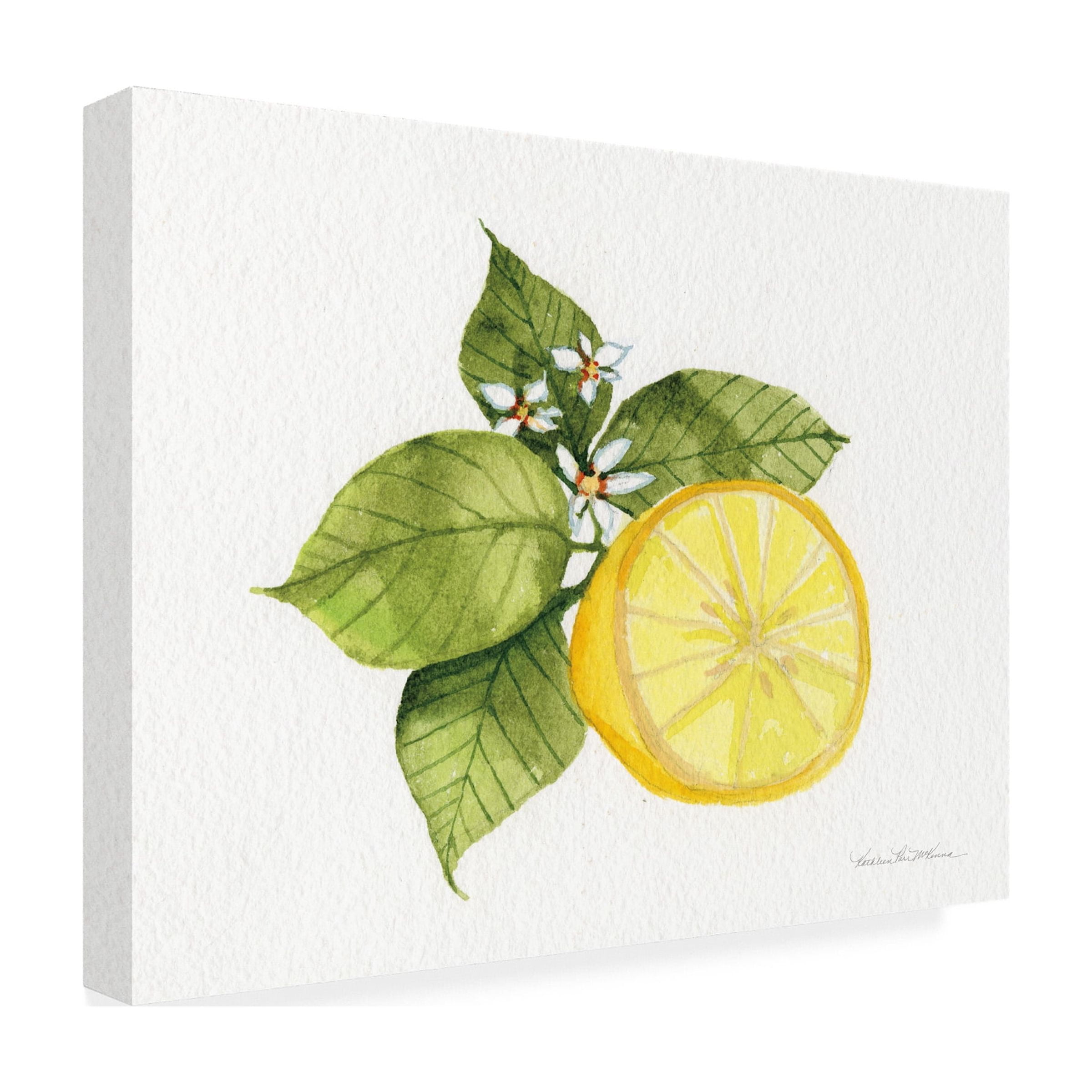 Trademark Fine Art 'Citrus Garden IX' Canvas Art by Kathleen Parr McKenna