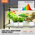 thumbnail image 2 of VEVOR Plant Stand with Grow Light, 6-Tier Large Tall Plant Shelf with 3000K 200W Full Spectrum Grow Light, Indoor Grow Light Shelf with Timer and Wheel for Seed Starting 47.2" L x 13.8" W x 70.8" H, 2 of 9