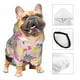 thumbnail image 3 of Balery Dinosaur Sudadera con Capucha para Perros Pequeños – Ropa para Mascotas, Disfraz para Perros y Gatos, Ideal para Fiestas y Cosplay-X-Large, 3 of 7