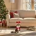 thumbnail image 1 of Festive Holiday Bow Hat Outfit for Small and Medium Sized Cats and Dogs, 1 of 5
