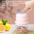 thumbnail image 1 of Procesador de alimentos eléctrico BLESIY Chopper de cebolla portátil inalámbrico acero rosa procesador de ajo, 1 of 8