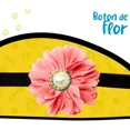 thumbnail image 4 of Collar Para Perro Pequeño Terciopelo Flor Set 2 Pzs Mascotas, 4 of 7