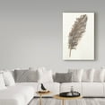 thumbnail image 3 of Trademark Fine Art 'Gold Feathers VII' Canvas Art by Chris Paschke, 3 of 3