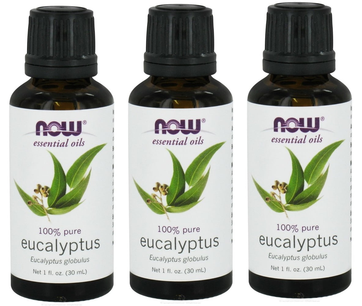 Now Foods, Essential Oils, Eucalyptus, 1 fl oz (3 Pack)