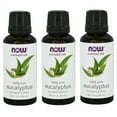 thumbnail image 1 of Now Foods, Essential Oils, Eucalyptus, 1 fl oz (3 Pack), 1 of 1