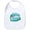 Cloud White, variant on CafePress - Peppa Pig: Dino Snore! - Cute Cotton Cloth Baby Bib, Toddler Bib