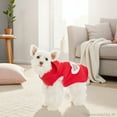 thumbnail image 2 of Vibrant Life Valentine's Pet Hoodie for Dogs, Conversation Hearts, Red, Extra Small, 2 of 10