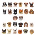 thumbnail image 1 of Magnet de Refrigerador, Forma Innovadora de la Cabeza del Perro de Regalo Pegatina del Refrigerador ProncTico No Tóxico Para El Hogar para la Oficina para la Cocina, 1 of 7