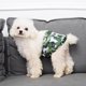 thumbnail image 5 of Ropa para mascotas, pañales para perros machos, pantalones, cortesía canina, uso de pantalones fisiológicos, 5 of 6