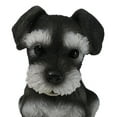 thumbnail image 4 of Adorable Black and Silver Miniature Schnauzer Puppy Dog Home Decor Figurine, 4 of 10