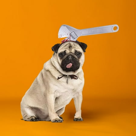 

Ikohbadg Spooky Halloween Decor - Funny Pug Dog Headdress with Chopper Saw Axe Hammer - Dress Up for Halloween