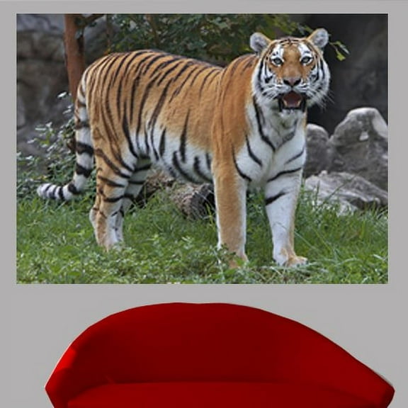 Wallhogs Tiger Glossy Wall Mural