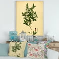 thumbnail image 2 of Designart 'Ancient Plant Life XXV' Traditional Framed Canvas Wall Art Print, 2 of 5