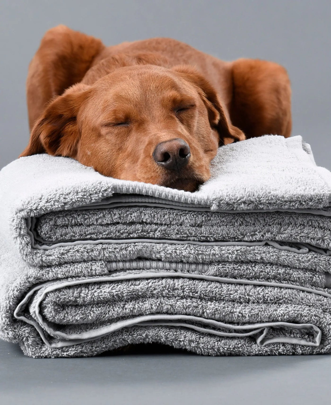 Delilah Home - 100% Organic Bath Sheet - High Quality, Ultra-Soft, & Absorbent Turkish Organic Cotton Spa Towels - Eco-Friendly & Vegan (One piece each 36x72) Pack of 1, Green Towel