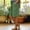 17#c Green, variant on Womens Bermuda Capri Elastic Waist Harem Pants with Pockets Casual Loose Solid Yoga Trousers Green S