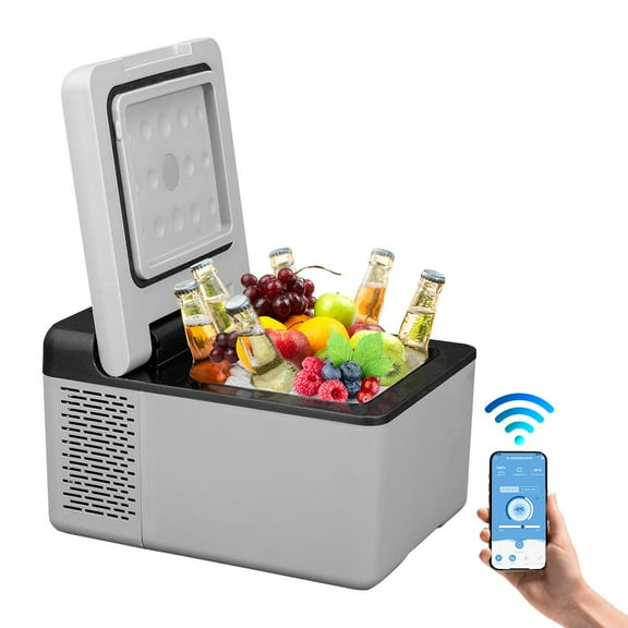 Alpicool C9 Car Freezer, Portable Car Refrigeartor 10 Quart(9 Liter), 12 Volt Fridge Freezer for Car, RV, Camping, Travel and Home 12/24V DC and 100-240V AC