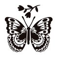 thumbnail image 1 of Jindong Gabarit de Peinture Papillon pour Fabrication de Cartes Symétrie Gabarit de Peinture Papillon Creux Gabarit de Gaufrage pour Scrapbooking Bricolage, 1 of 9