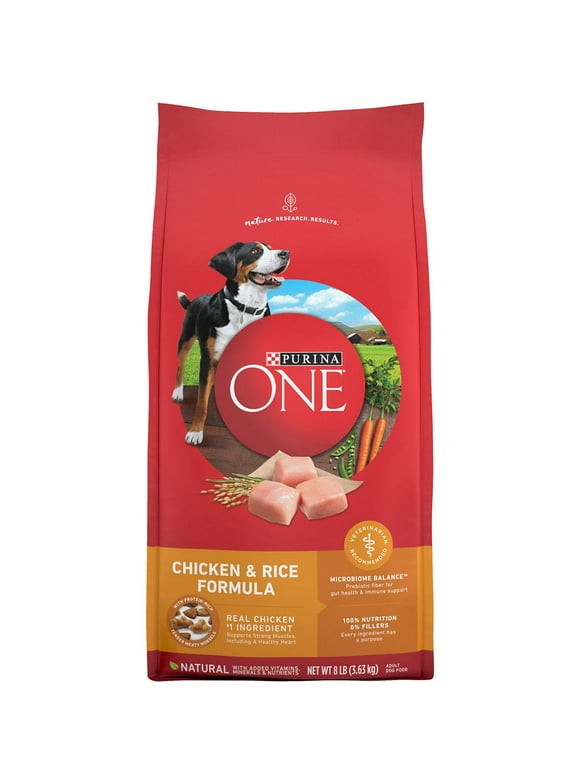 Purina ONE Chicken and Rice Formula Dry Dog Food