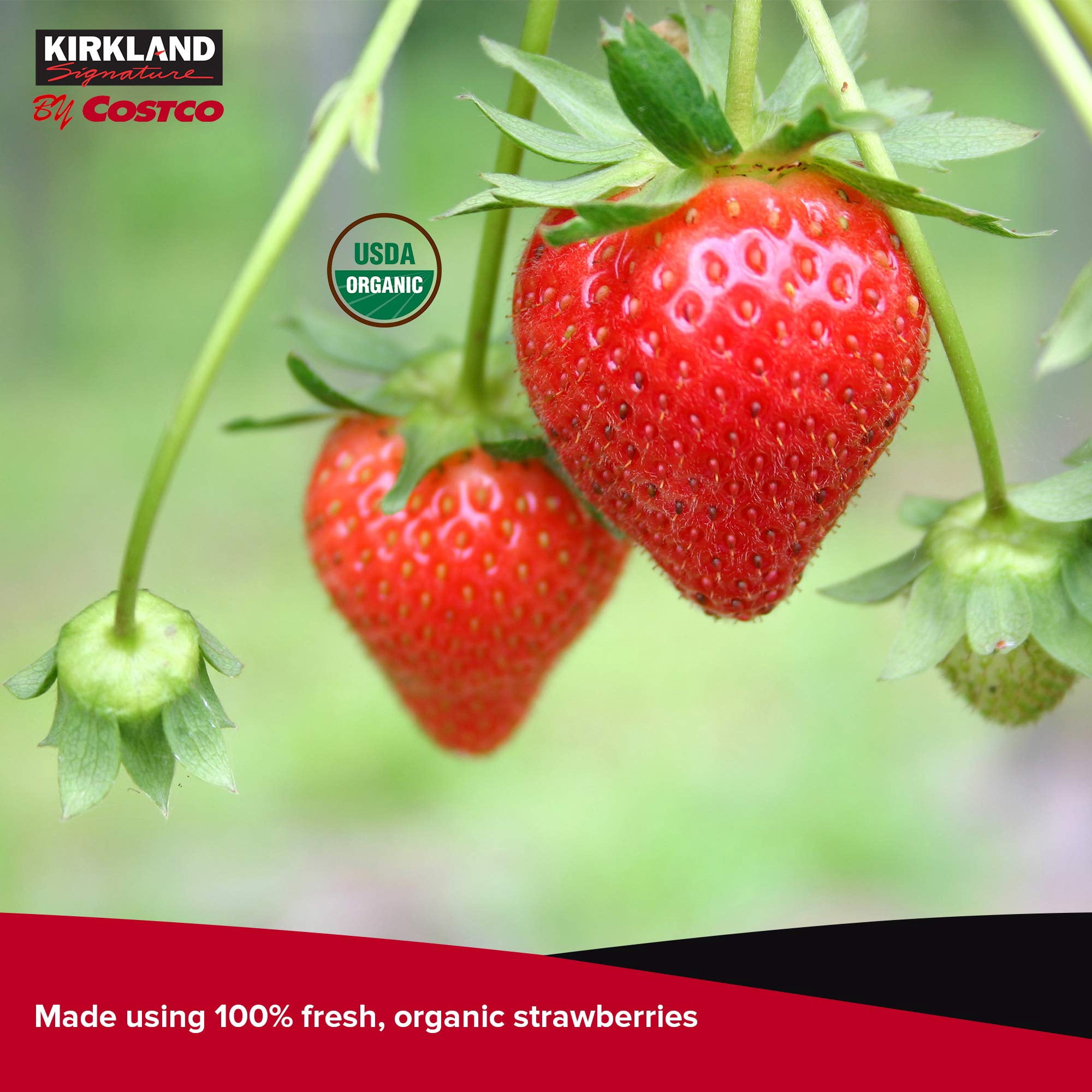 Kirkland Signature Organic Strawberry Spread 42 Ounce