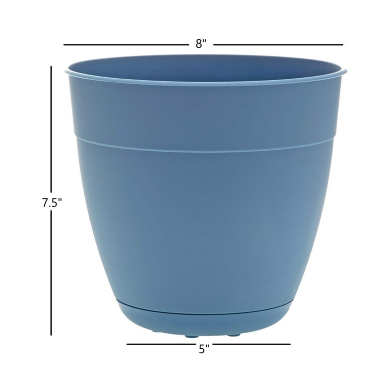 Bloem Dayton 7.5 in. H X 8 in. D Plastic Ocean Series Planter Turtle Green Bloem Dayton 7.5 in. H X 8 in. D Plastic Ocean Series Planter Turtle Green