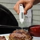 thumbnail image 4 of Termómetro digital para alimentos líquidos, para cocina, barbacoa, parrilla, probador de temperatura, 4 of 14