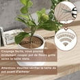 thumbnail image 4 of Juego de 4 protectores de suelo para macetas de rejilla de 52/30 cm, fundas de rejilla para macetas de interior contra animales y niños, 4 of 5