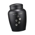 thumbnail image 5 of Bothyi Pet Urn Cremation Urn Lightweight Container Jar Keeping Precious Memories Burial, 5 of 8