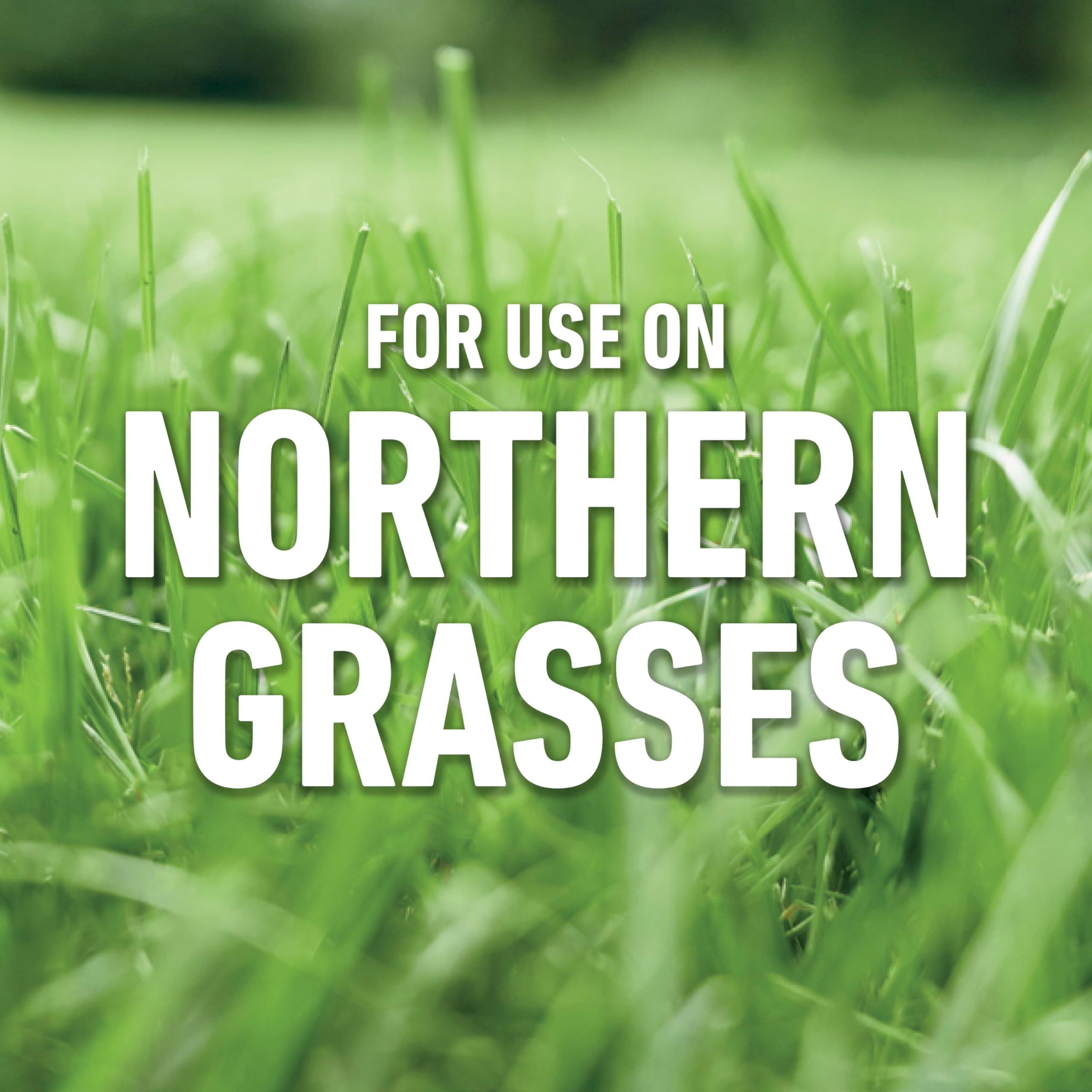 Roundup for Lawns Ready-to-Use with Extended Wand, Tough Weed Killer for Use on Northern Grasses, 1 gal.