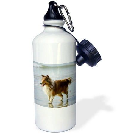 

3dRose Canada Vancouver Island. Sheltie walking on Chesterman Beach Tofino - Straw Water Bottle 21-ounce