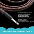thumbnail image 6 of Evidence Audio The Forte Instrument Cable Straight to Straight Plugs 15 feet 4.5 m, 6 of 7