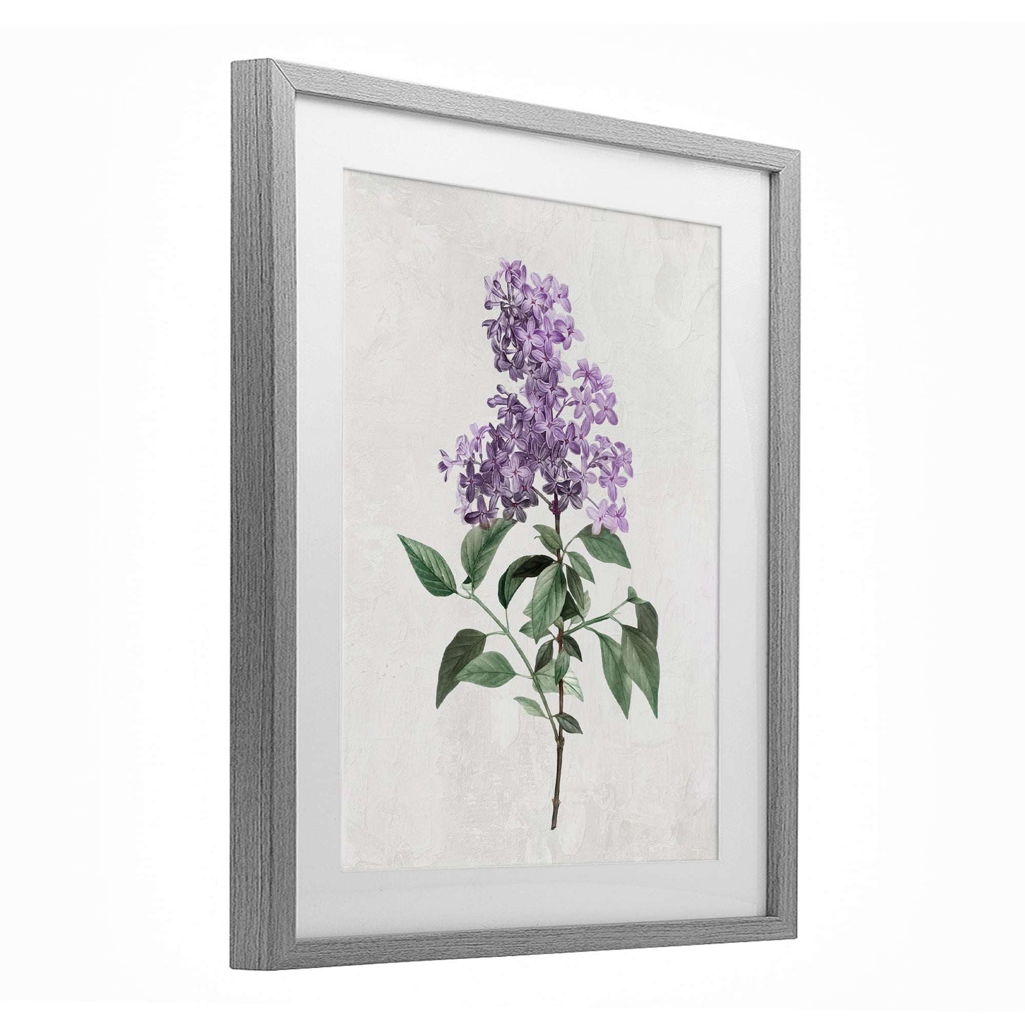 Stupell Industries Lilac Herb Blossoms Gray Framed Print Under Glass, design by Kim Allen