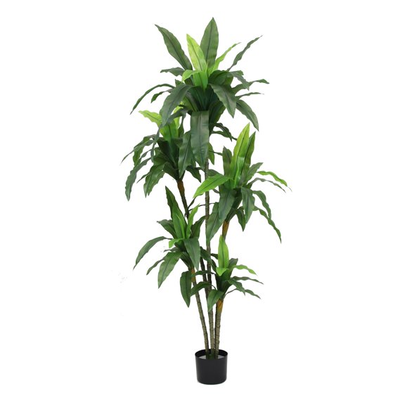The Mod Greenhouse 67" Artificial Variegated Dracaena Plant in Black Matte Planter's Pot