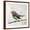 Brown Frame, variant on Art.com Robin on Wire Art Print by Angela Moulton, 16" x 16"