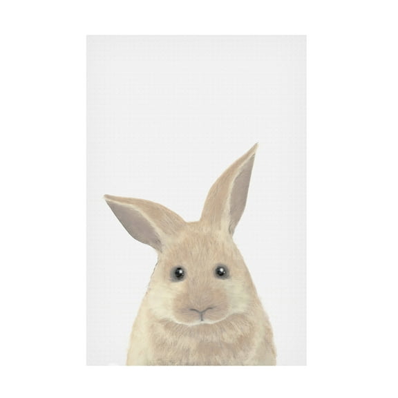 Canvas Wall Art - Pictufy Studio Ii 'Rabbit' Wall Art for Living Room, Bedroom, or Office Décor by Trademark Fine Art - 12 x 19 Inches