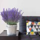 thumbnail image 4 of Ramo de Lavanda Artificial, 10 Unidades, 15 Pulgadas de Largo, Flores Artificiales de Plástico con Polvo Flocado Blanco, Realista, para Decoración de Bodas, Hogar, Jardín, Oficina, Balcón y Baño., 4 of 6