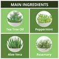 thumbnail image 4 of Daeng Gi Meo Ri Natural On Tea Tree Cool Shampoo and Treatment Set (1000 ml., 2 pk), 4 of 4