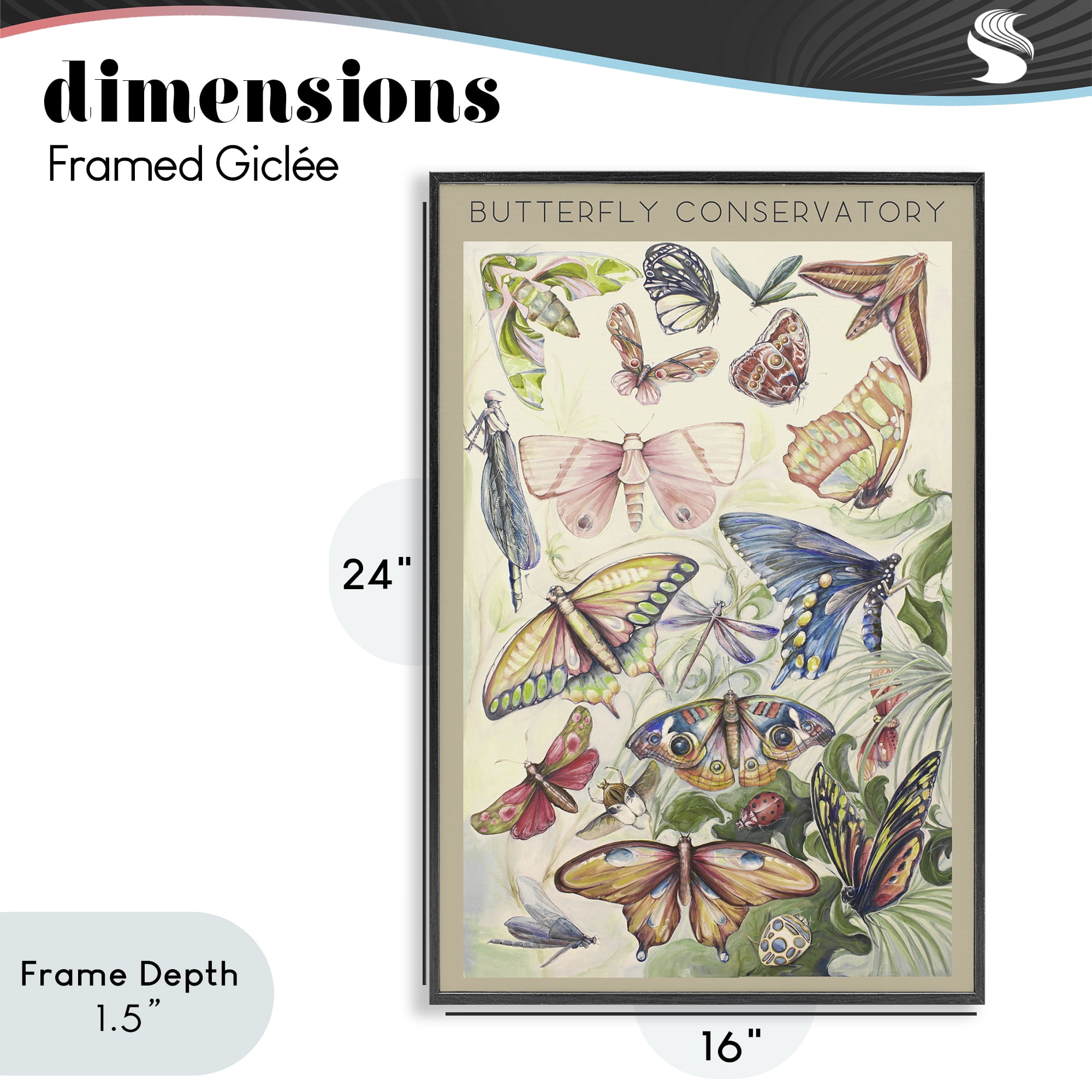 Stupell Industries Butterfly Conservatory Insects Black Framed Giclee Art, design by Diannart
