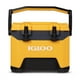 thumbnail image 1 of Cooler Igloo BMX 25 Qt Amarillo, 1 of 5