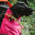 thumbnail image 3 of Dog Coats Small Waterproof,Warm Outfit Clothes Dog Jackets Small,Adjustable Drawstring Warm And Cozy Dog Sport Vest-（pink，size XL）, 3 of 3