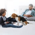 thumbnail image 3 of Washable Dog Pee Pad Pet Diaper Mats Dog Training Pad Dogs Bed Mattress Mats for Small Large Dog, 3 of 13