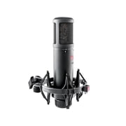 SE Electronics SE2300 Multi Pattern Large Diaphragm Condenser Mic with Shockmount and Filter