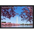 thumbnail image 1 of Washington Monument & Cherry Blossoms - Washington DC - Lantern Press Photography (36x24 Giclee Art Print, Gallery Framed, Black Wood), 1 of 4