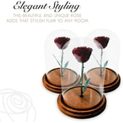 Forever Rose Enchanted Rose, a Genuine, One of a Kind, Real Burgundy Rose, Hand Dipped in Lacquer with a Copper Stem and Leaves, Beauty and The Beast