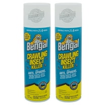 Bengal Crawling Insect Killer, Indoor and Outdoor Ant and Spider Killer 2 Count, 16 oz Aerosol Cans