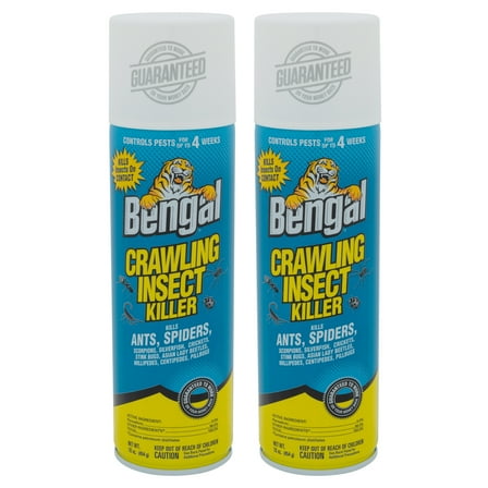 Bengal Crawling Insect Killer, Indoor and Outdoor Ant and Spider Killer 2 Count, 16 oz Aerosol Cans